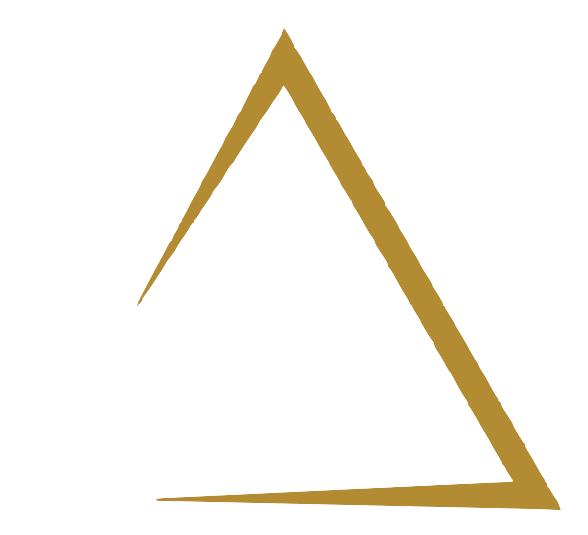 Audax Private Equity logo